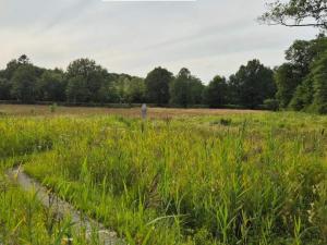 4 person holiday home in Hovborg-By Traum