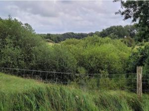 4 person holiday home in Hovborg-By Traum