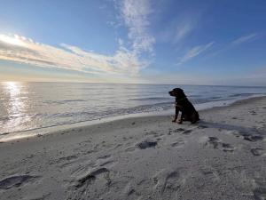 Seaside Serenity in Lyngsa-By Traum