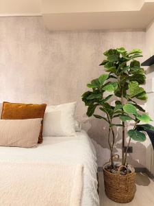 Hermoso Apartamento a pasos de Santa Lucía