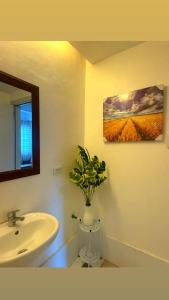 APPLE ONE BANAWA condominium