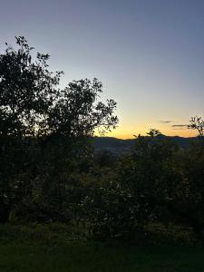 Cabaña Del Ermitaño entre los árboles del bosque de Efímero la Ceja