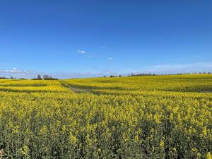 5 person holiday home in LÖDDEKÖPINGE