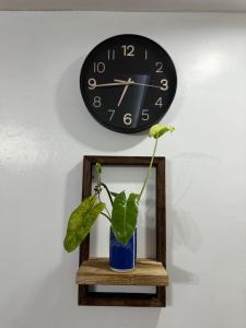 Affordable Yet Luxurious Family House in Uptown CdeO