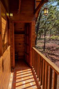 Cabaña Encino para 10 personas en medio del bosque mascotense