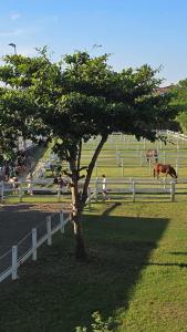 Villa Casa Andaluz - Canggu Berawa 2BR Stable View Villa