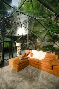 Morning Star Glamping