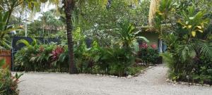 Aloha surf Nosara - Kahala Hui Cabanas #1