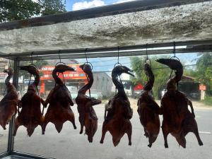 Trăng Khuyết 404MD