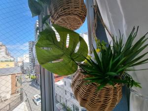 6日本橋駅徒歩5分道頓堀徒歩6分