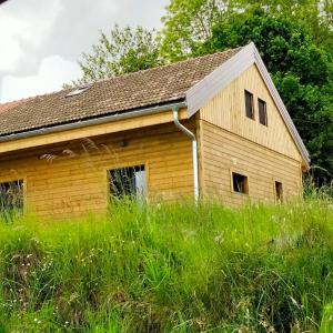 Le bain nordique du lynx boréal