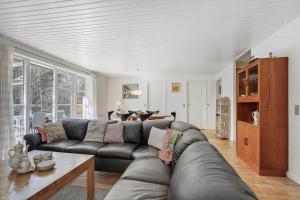 2534-Nexo-Strandmolleskoven-3