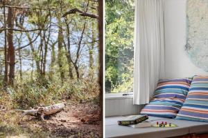 1608-Aakirkeby-Loftsgardsskoven-5