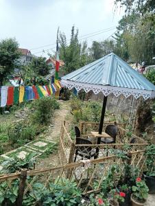 Phoenix Tiny Cottage