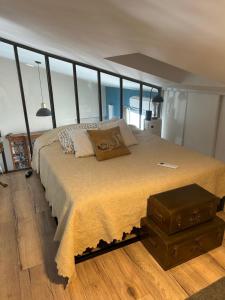 Nîmes Arènes Privilège