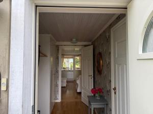 Comfortable apartment