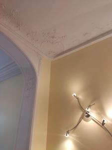 Bright 1BR with terrace near Montgomery