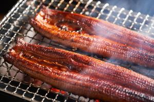 Ooedo Onsen Monogatari Premium Shirahama Saichoraku