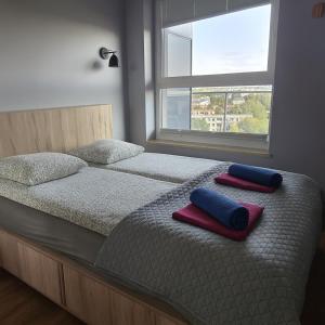 Urban Jungle Apartment David