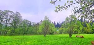 Casa Traditionala Nicolas