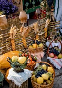 Casa Traditionala Nicolas