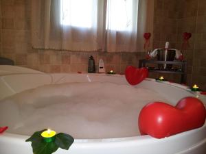 Casa Rural con jacuzzi y pista de padel - Casa de Pacas