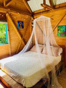 Tropical Wooden Lodge