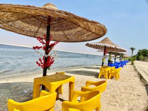 قرية النورس بالاسماعيلية مكتب السعد