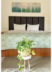 3 BR Luxe Penthouse nearby Harkipauri by Manstays