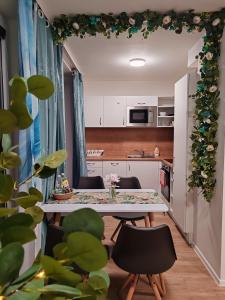 Star Apartments Brno D55# by Starbnb EU