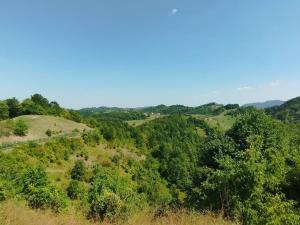 Parzival relax Apartment