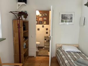 Saga studio in the center of Pasvalys