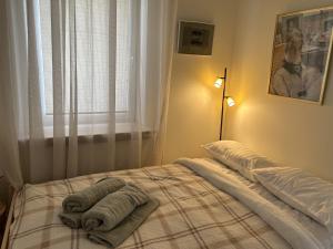 Saga studio in the center of Pasvalys