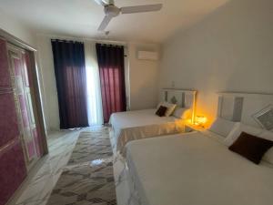 Asmara Apartment Hatshepsut