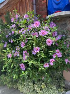 Люкс - квартири на Іллінській