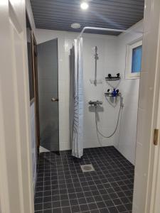 Kodikas talo lammen rannalla