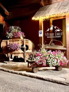 Hotel Piccolo Chalet