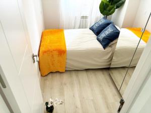 Rastro, Plaza Mayor and Madrid Río