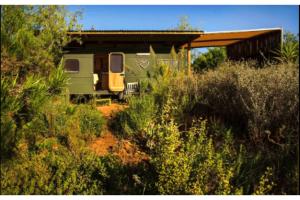 Fynbos Gypsy Caravan at The Far Side Rest Camp