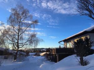 Ferienhaus Wieselweg im Feriendorf Reichenbach 16