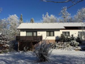 Ferienhaus Wieselweg im Feriendorf Reichenbach 16
