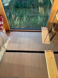 Zenbox Satori - the place to ease your mind