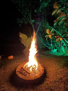 The Private Forest Lake Tinys Aruanda