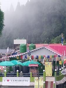 Tiny Haven Homestay and Café - Lamahatta