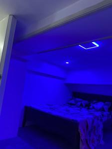 Elegant Golden Loft with Mood Lighting Central Location and Skyline Views