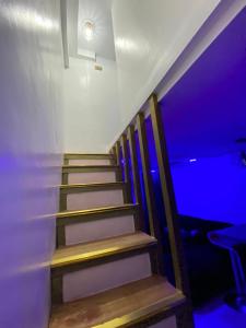 Elegant Golden Loft with Mood Lighting Central Location and Skyline Views