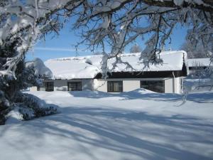 Ferienhaus Wieselweg im Feriendorf Reichenbach 5