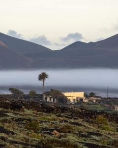 Petit La Geria Lanzarote