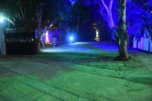 Eco Transit Udawalawe