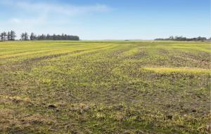 Gorgeous Home In Vemb With Wifi